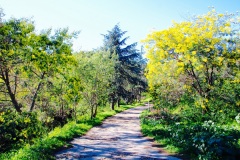 Parc de la croix-des-gardes à 5 min en voiture