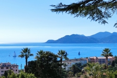 Vue de la terrasse