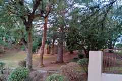 Le jardin vue de la fenêtre de la chambre cabine